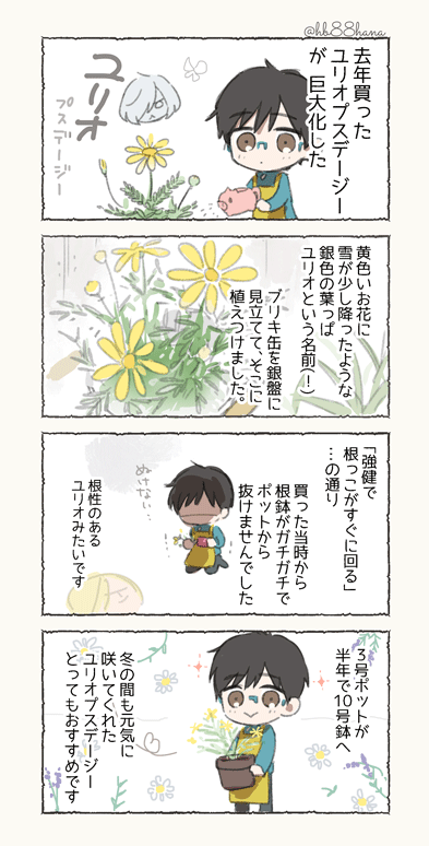 【ユリオプスデージーを買ったよ】
今回はみじかめです🌼
新しいことにチャレンジしようと思って準備の合間に勇ユリ勇漫画描いてます。
来週はまたちょっとイチャイチャしてるかも