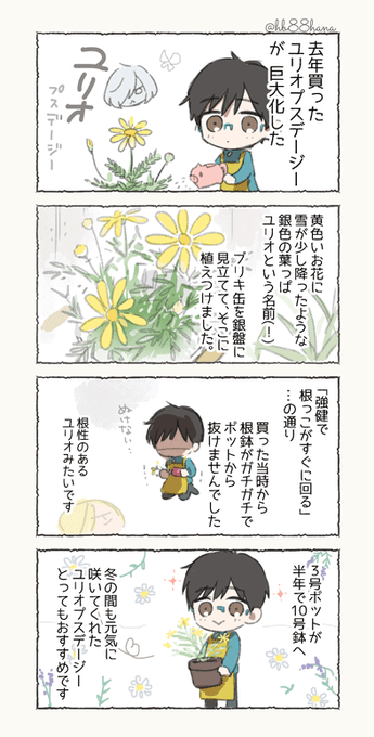 八ツ花 Hbhana さんのマンガ一覧 ツイコミ 仮