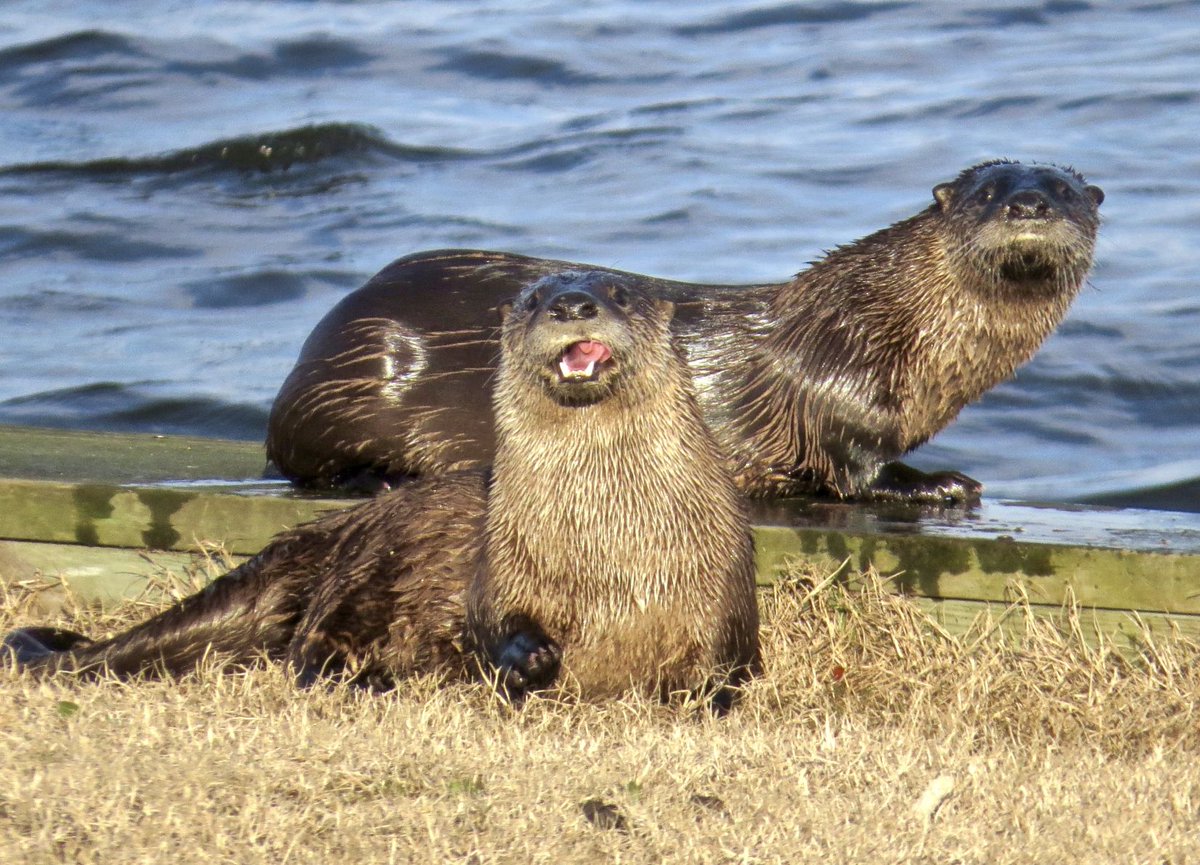 USFWSRefuges tweet picture