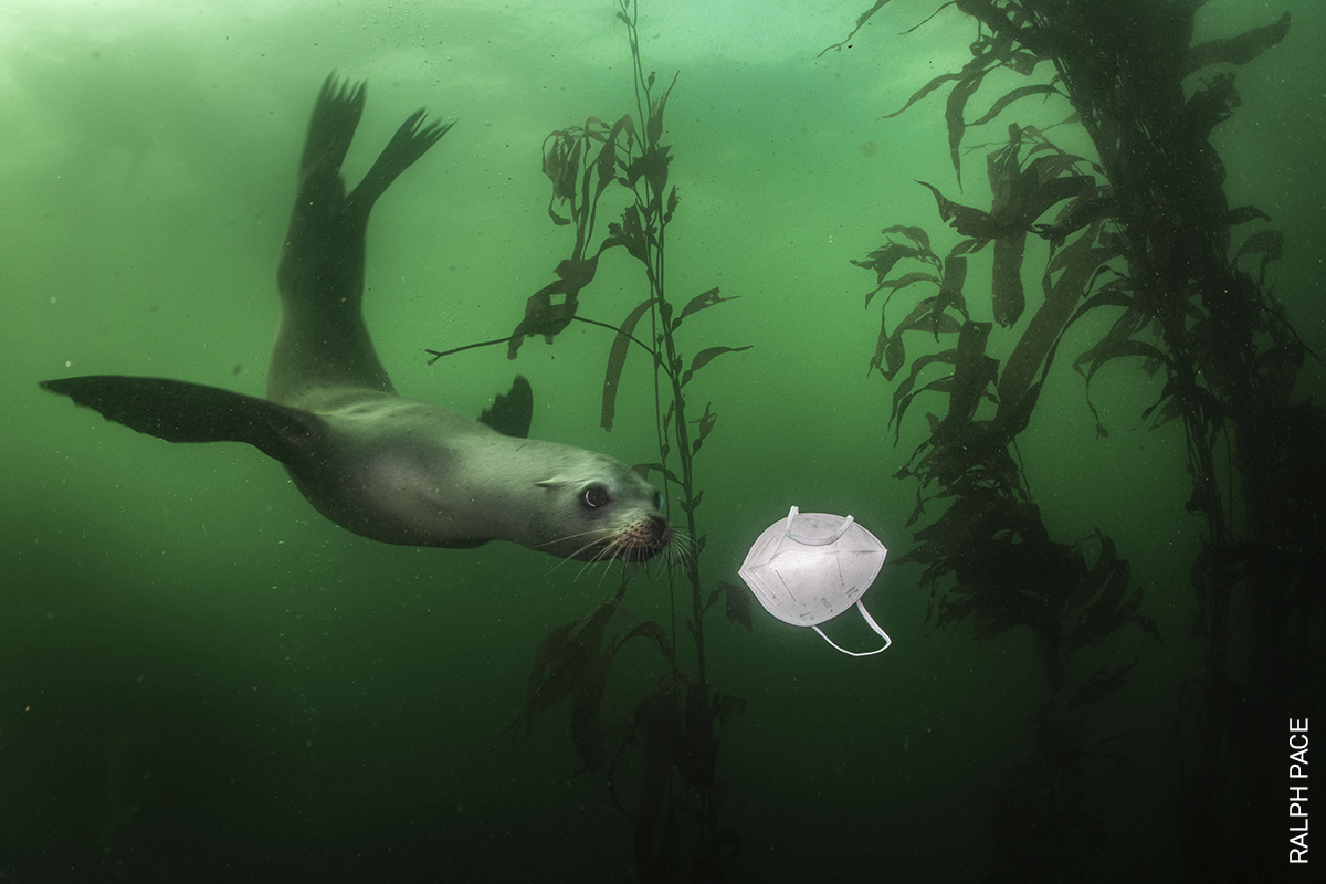 Congratulations to the winners in the Environment, singles category of the #WPPh2021 Photo Contest: Ralph Pace, 1st prize, Hkun Lat (<a href="/hkun_lat/">Hkun Lat</a>), 2nd prize and K M Asad (<a href="/kmasad04/">K M Asad</a>), 3rd prize. Discover their work: bit.ly/3mK4D12