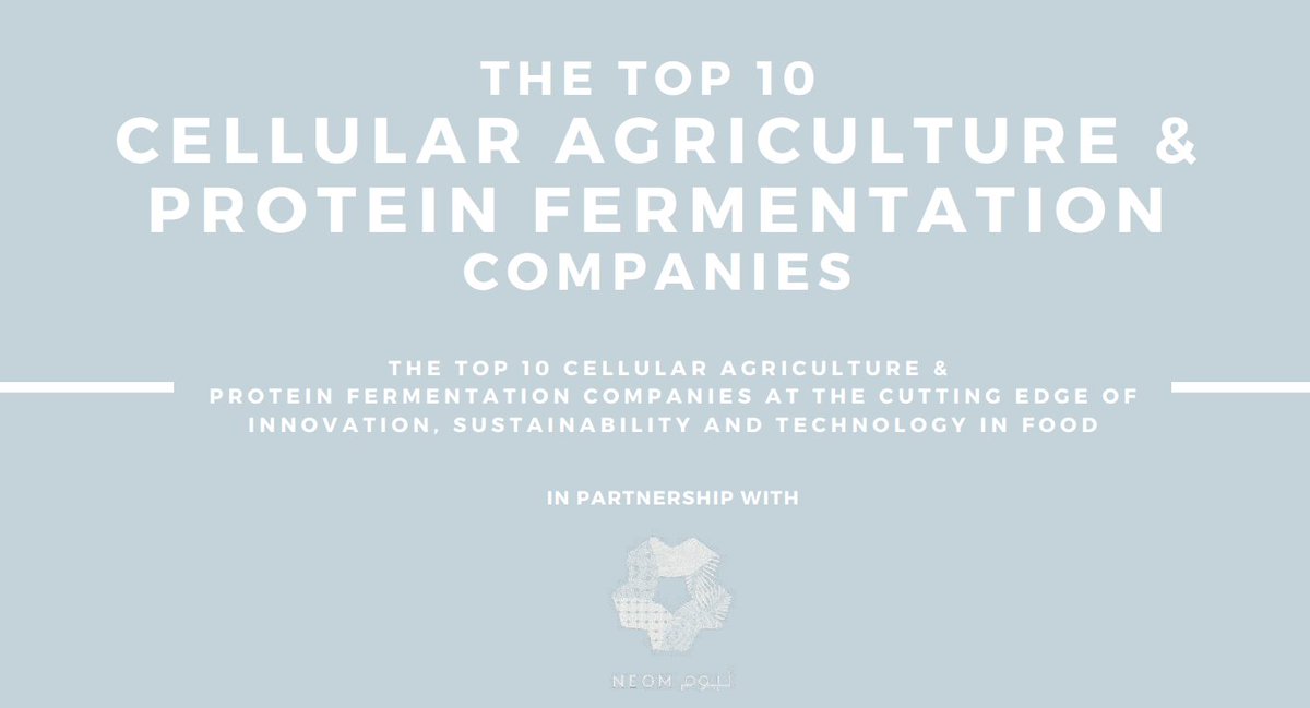 michroma tweet media