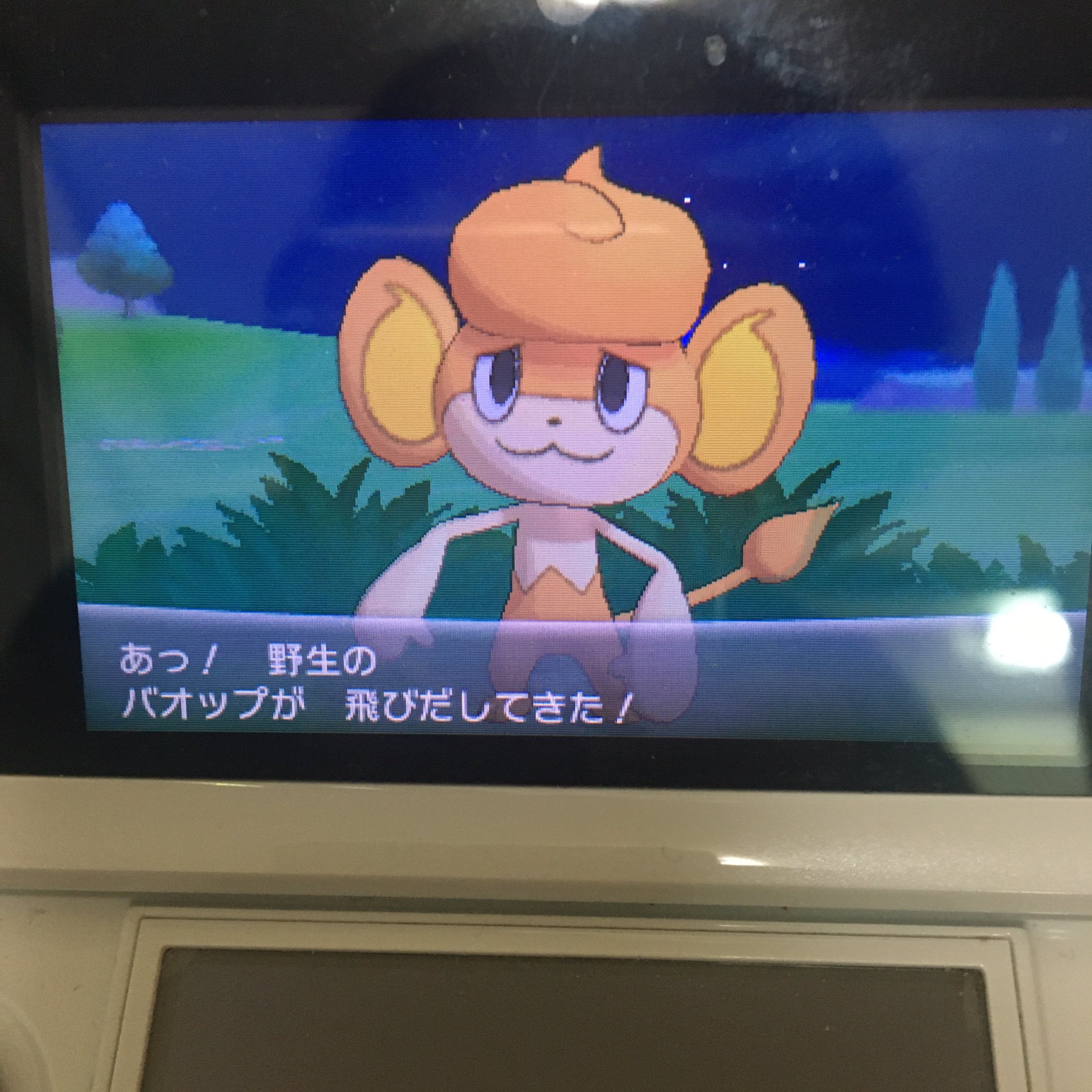 Hal318 フレンドサファリにて 色違いバオップ捕まえたぞー ちょっと分かりづらい 色違いポケモン Shinypokemon フレンドサファリ ポケモン ポケモンxy バオップ ポケモン好きな人と繋がりたい T Co Xt7ohbznqu Twitter