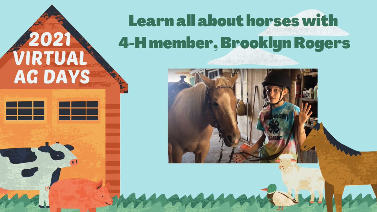4HVanderburgh's tweet image. It&apos;s Virtual Ag Days Week in Vanderburgh County! Join our 4-H members for farm tours as they share their knowledge of our local agriculture.  This is 4-H member, Brooklyn Rogers and her horse, Teddy!  #vanderburghco4h #indiana4h #agdays #agisawesome 
 youtube.com/watch?v=ASNVja…