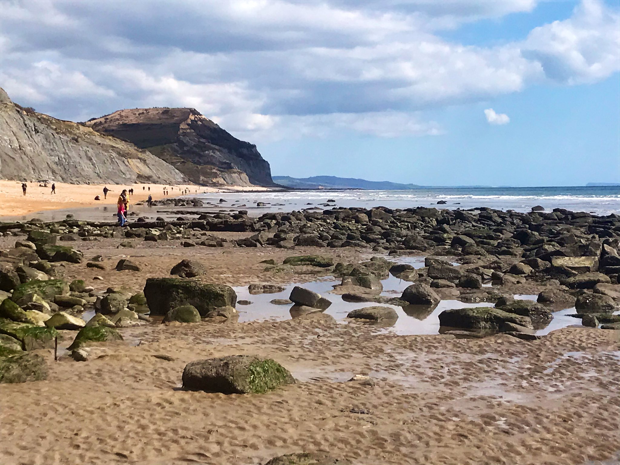 Jurassic Coast Guide on Twitter "A glorious day for fossil walks! fossilwalks charmouth 