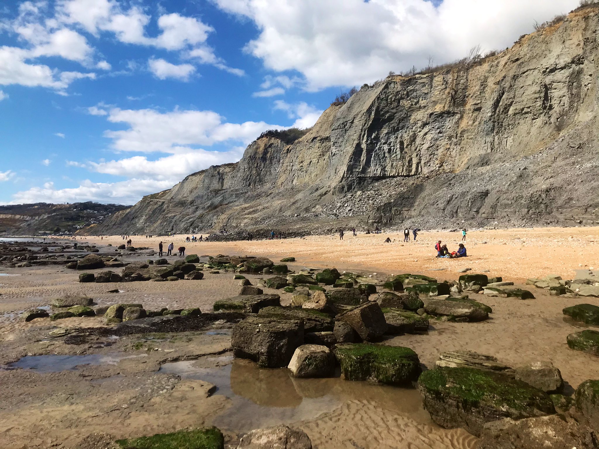 Jurassic Coast Guide on Twitter "A glorious day for fossil walks! fossilwalks charmouth 