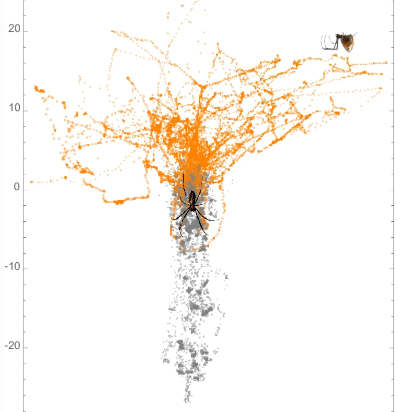 jonas_o_wolff's tweet photo. Rogelio Rosales-GarcΓa, Horacio Tapia-McClung, @pipilika_aj & @dineshraov tracked the #movements of small #kleptoparasitic ('prey stealing') #spiders in giant #orbwebs.
#motiontracking #motionanalysis #movementecology
https://t.co/9AaiSV3dLl https://t.co/NqJNjDUzBB