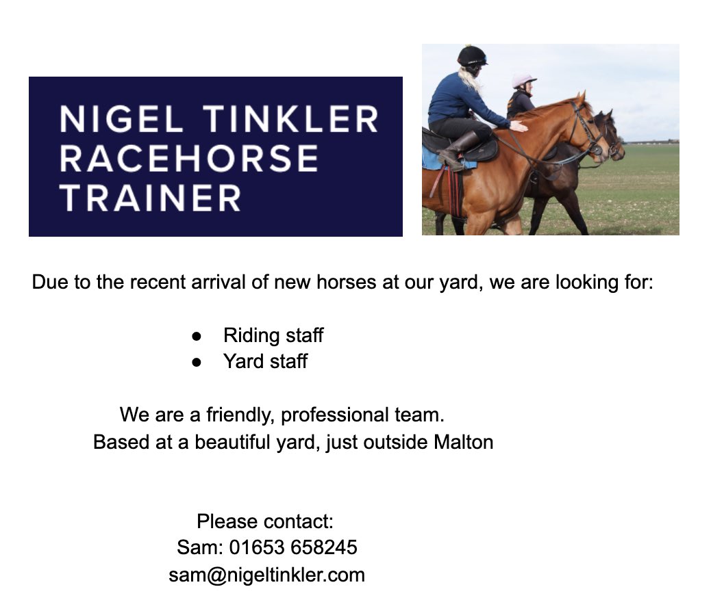 Looking for riders & yard staff at our friendly yard near Malton! Please RT 🙏🏻