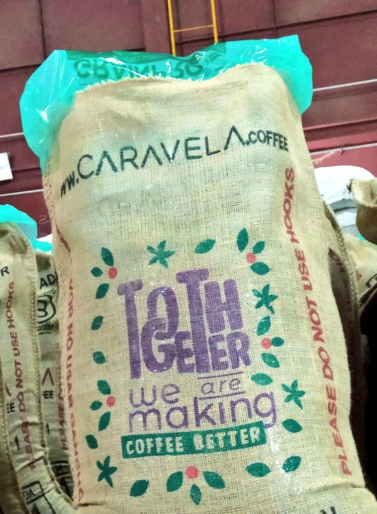 Ana 🌱✨ (@yellowcatuai) on Twitter photo About the the other day. 69 kg of pure hard work, hopes, and families' dreams 🍒..And of course quality!
<a href="/caravelacoffee/">Caravela Coffee</a> About the the other day. 69 kg of pure hard work, hopes, and families' dreams 🍒..And of course quality!
<a href="/caravelacoffee/">Caravela Coffee</a>