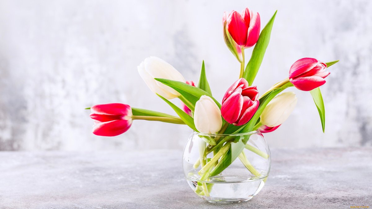 Какая вода для тюльпанов в вазе. Цветы тюльпаны. Тюльпаны в вазе. Красивые тюльпаны в вазе. Розовые тюльпаны.