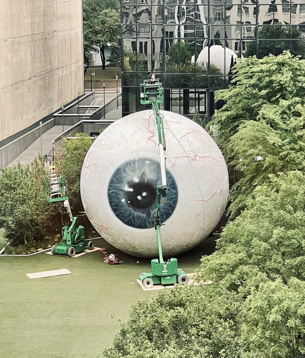 Sarita Rao tweet media