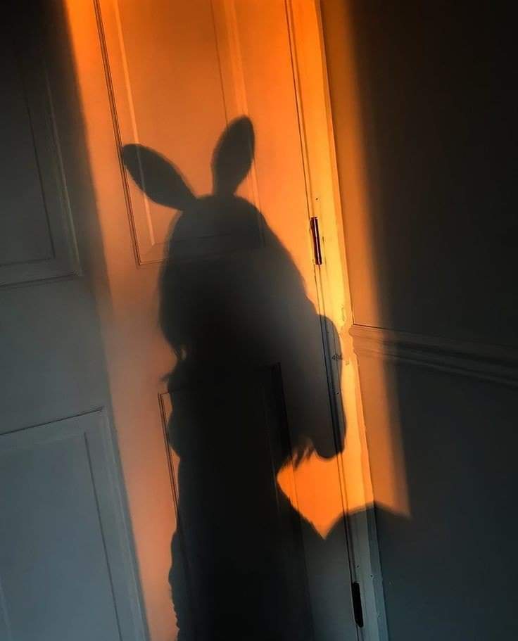 Hình bóng lúc 18 tủi