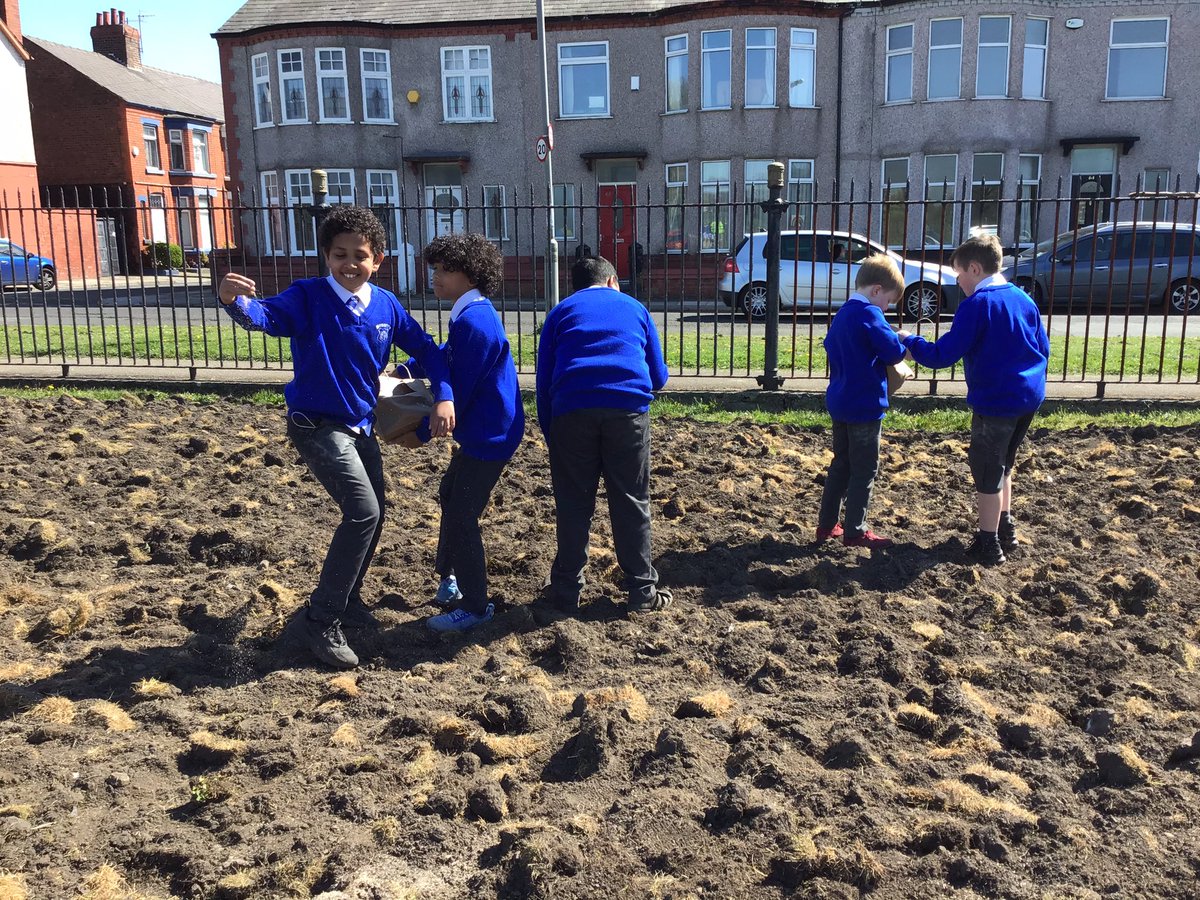 Sunshine, seeds and lots of smiles 🌞🌺

Year 5 were invited by Liverpool City Council to support in a project to sow wild flowers in Mystery Park. We had a wonderful afternoon sowing seeds in the sunshine and listening to the wonderful jazz music the band played for us #sayseeds