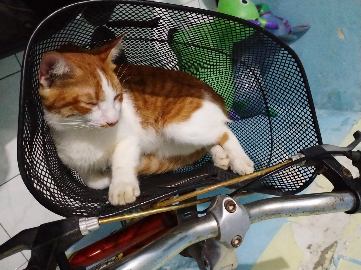 Rindu anak pungut 😭