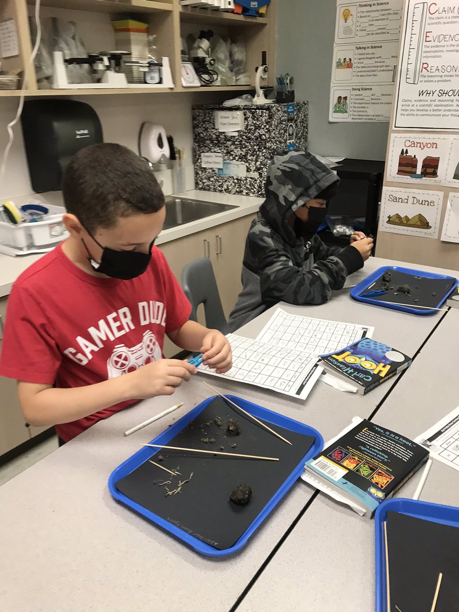 Melissa Bryant (@meljbryant) on Twitter photo Amazing morning at book club! Reading Hoot & dissecting owl pellets! #stallionsdeserveit <a href="/StacylSlater/">Stacy Lee Slater</a> <a href="/makinbrainsgrow/">Thomas</a> <a href="/katy_libraries/">Katy ISD Libraries</a> Amazing morning at book club! Reading Hoot & dissecting owl pellets! #stallionsdeserveit <a href="/StacylSlater/">Stacy Lee Slater</a> <a href="/makinbrainsgrow/">Thomas</a> <a href="/katy_libraries/">Katy ISD Libraries</a>