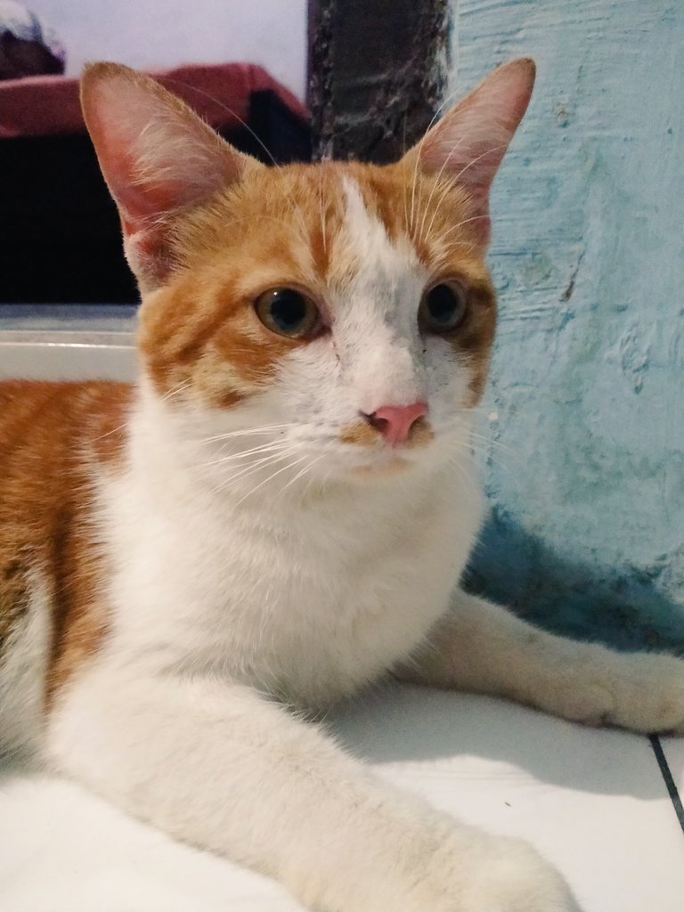 Sinta (@sintandriani) on Twitter photo 