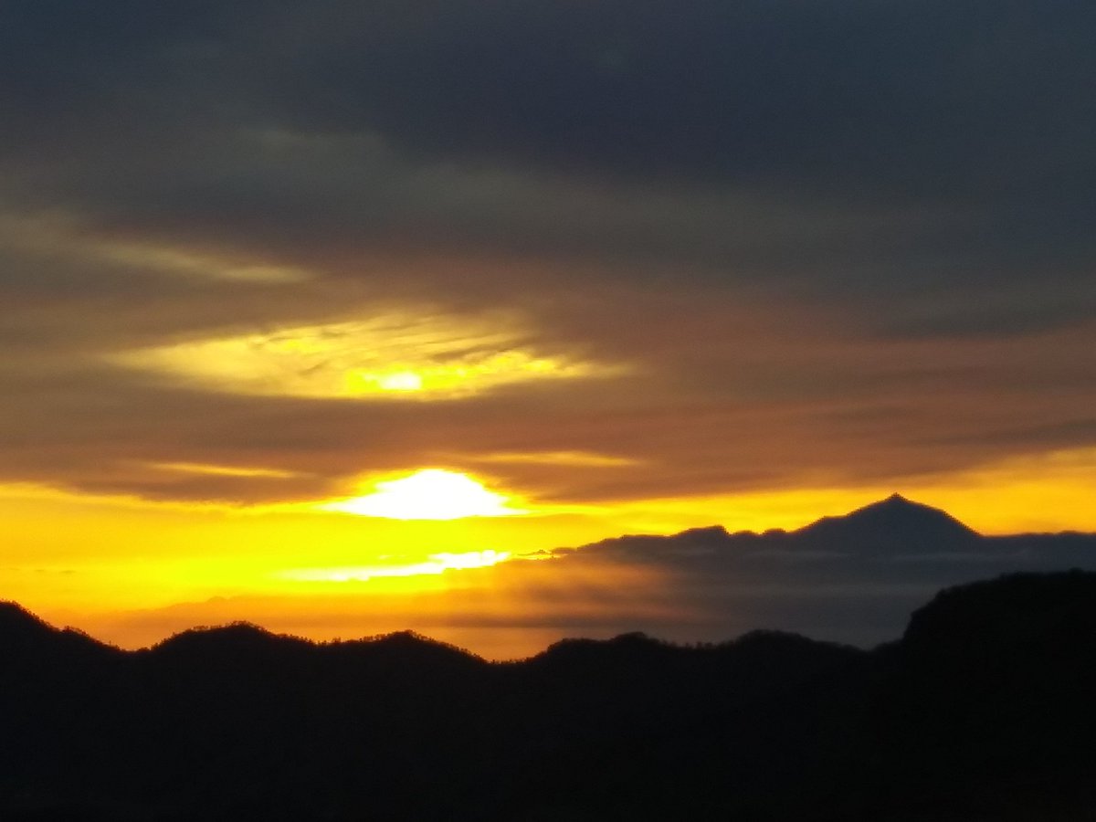 Daniel Rodriguez tweet media