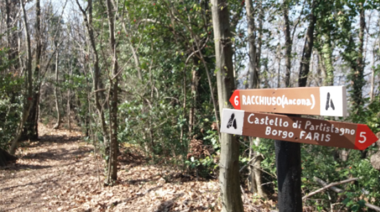 VisitFVG's tweet photo. "Andar per sentieri” è un’iniziativa che propone percorsi di trekking attraverso i sentieri più suggestivi del comprensorio del comune di #Attimis con affascinanti finestre sulle bellezze naturali, a contatto con la natura.
Scopri di più sul nostro blog➡️https://t.co/X949DsqIPL https://t.co/JPEDSbKlex