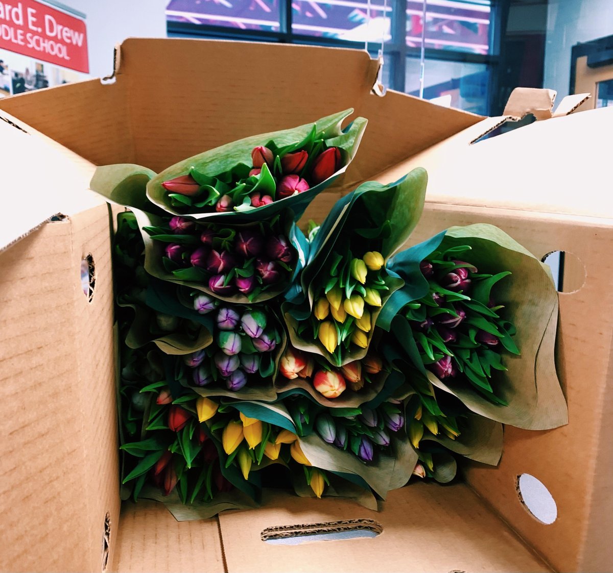 Tulips from the Tulip Project for our teachers!!!! <a href="/DMSRAMS/">Drew Middle</a>