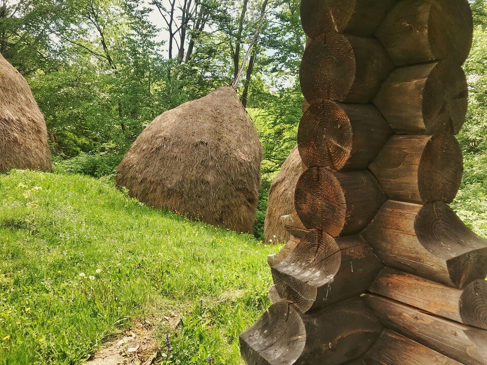 EuropeGenesys's tweet photo. Focul din poienița la care am adormit în plină #iarnă acoperit de #blănuri albe de #oaie 🔥 https://t.co/c4OBJ7Fw0C 🔥 #PovesteaLocurilor 🔥 https://t.co/XWop1jRsC5
