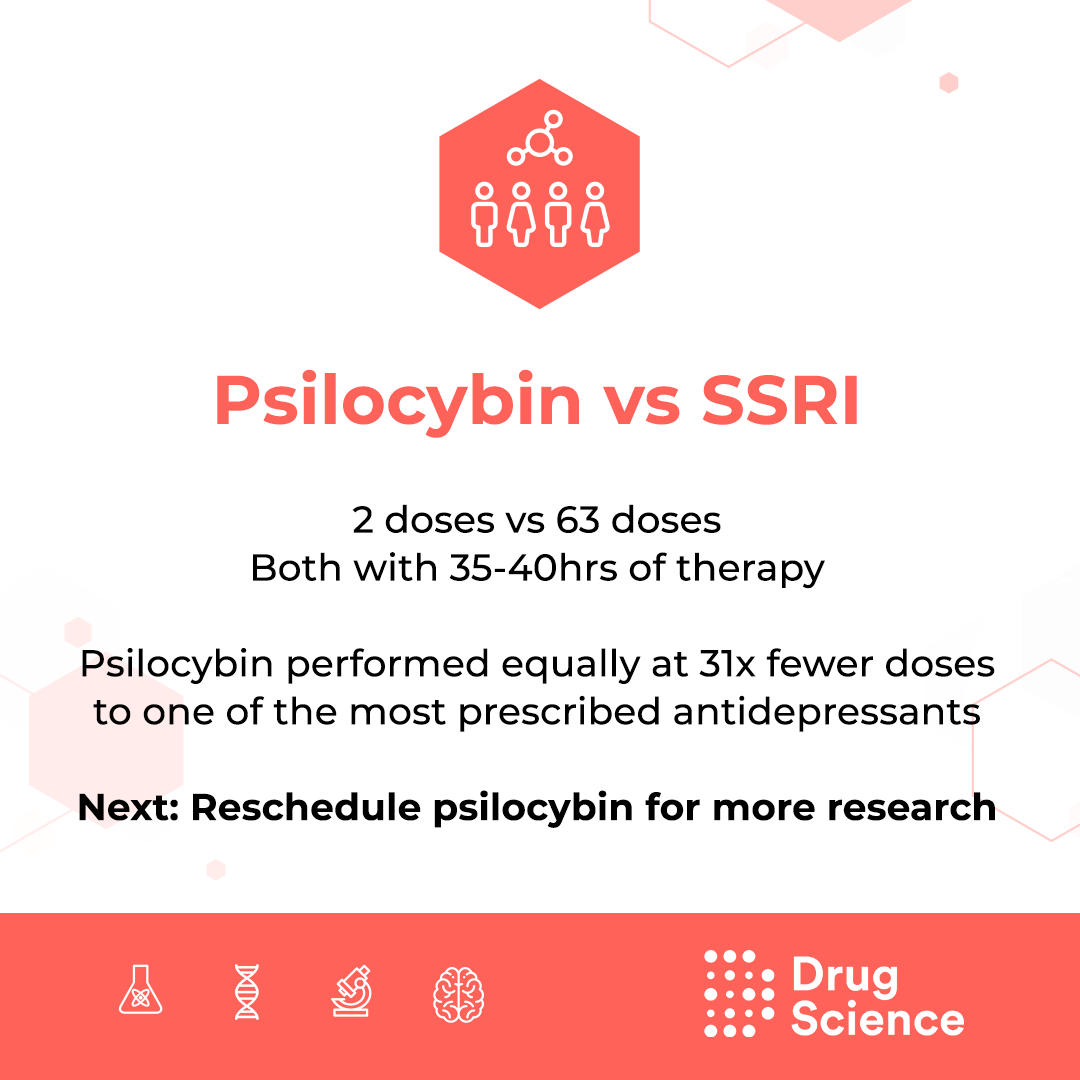 Drug Science tweet media
