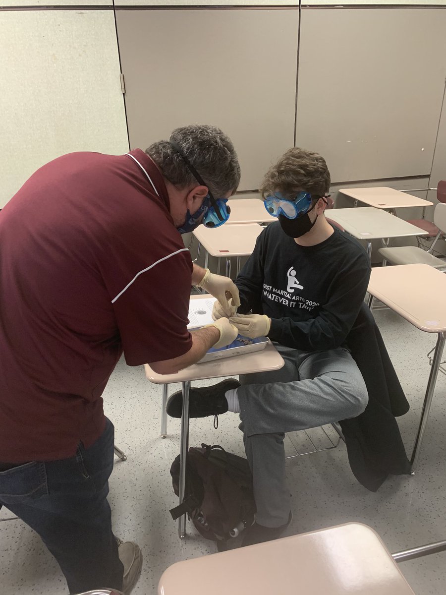 LCHS_Physics's tweet photo. Mr Schwingendorf’s Anatomy and Physiology class are dissecting cow eyes today @LCHSBears. Great instruction and engagement taking place in class. #Science4TheWin https://t.co/C5UqwELKiP