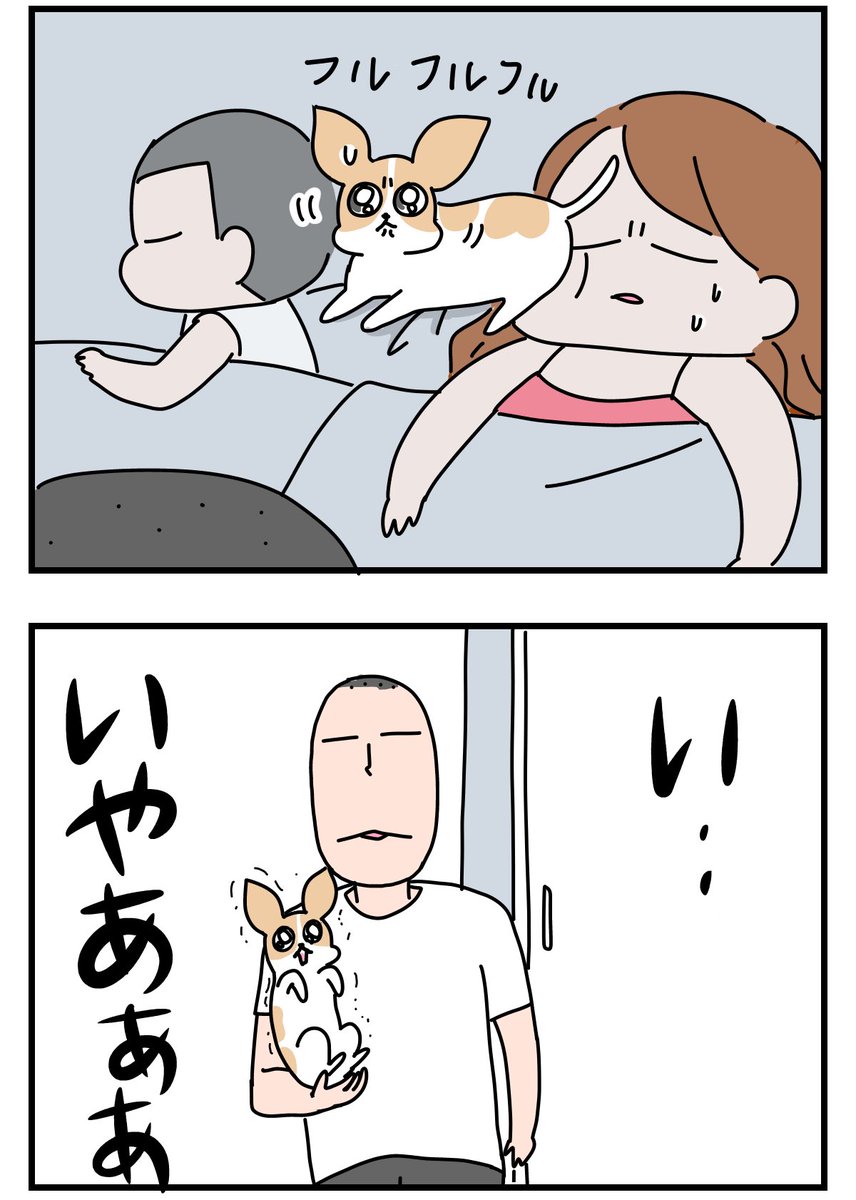 姉の家のチワワはノンソーシャルディスタンス
https://t.co/DtpgckXSJN 
