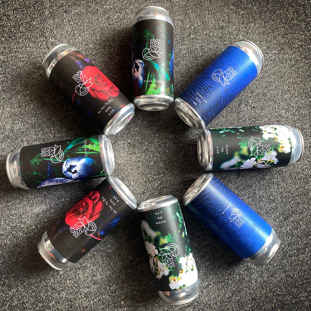 Here's a beer flower from the amazing <a href="/goodthingsbrco/">Good Things Brewing Co.</a>.  These guys really know how to brew beer!