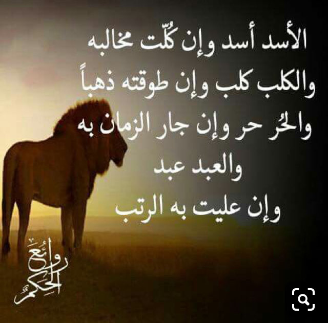 قل الله ثم ذرهم .... tweet media