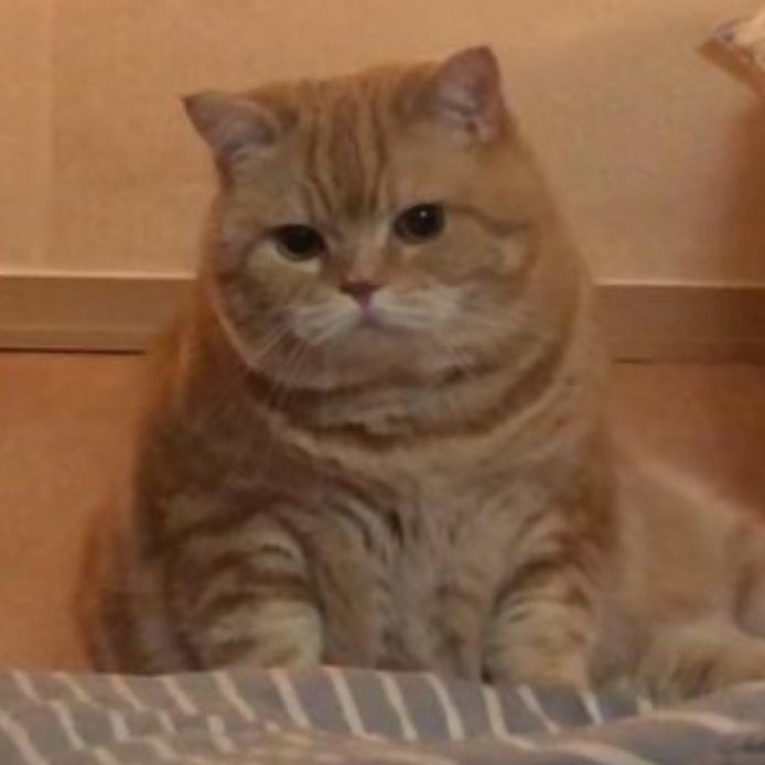 : ขอบคุณที่โทรมาสุขสันต์วันครบรอบห้าปีนะ เตน่อ
: เลา มะชั่ยเตน่อ