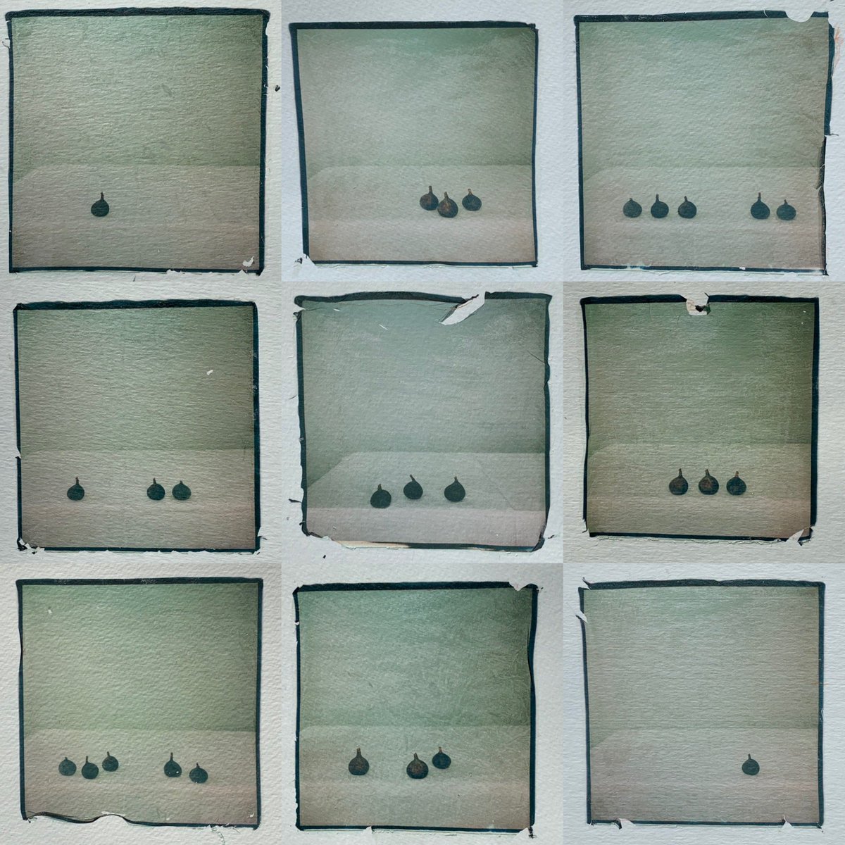 TraceyMcEachran's tweet image. A project on .....Time, beauty and monotony

 #polaroid #polaroidlift #emultionlift