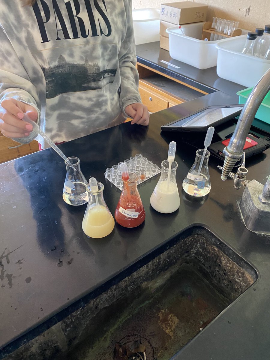 Testing the acidity and alkalinity of house hold substances.