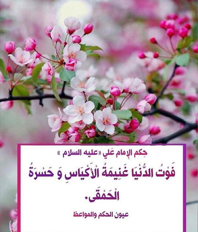 قل الله ثم ذرهم .... tweet media