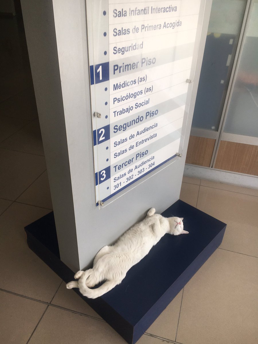 _AlfredoCuadros's tweet photo. Vengan a la “Torre de Violencia” de la Unidad Judicial de la Florida. Los recibirá -con entusiasmo- este abogato que hace alegatos. https://t.co/U3gBcVO2e7