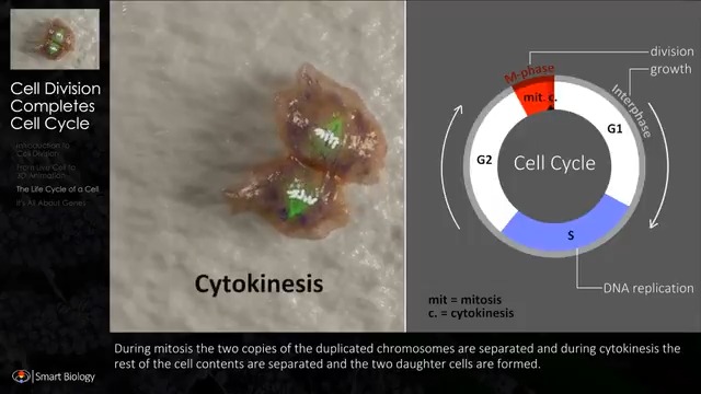 Smart Biology on Twitter: Smart Biology on Twitter: