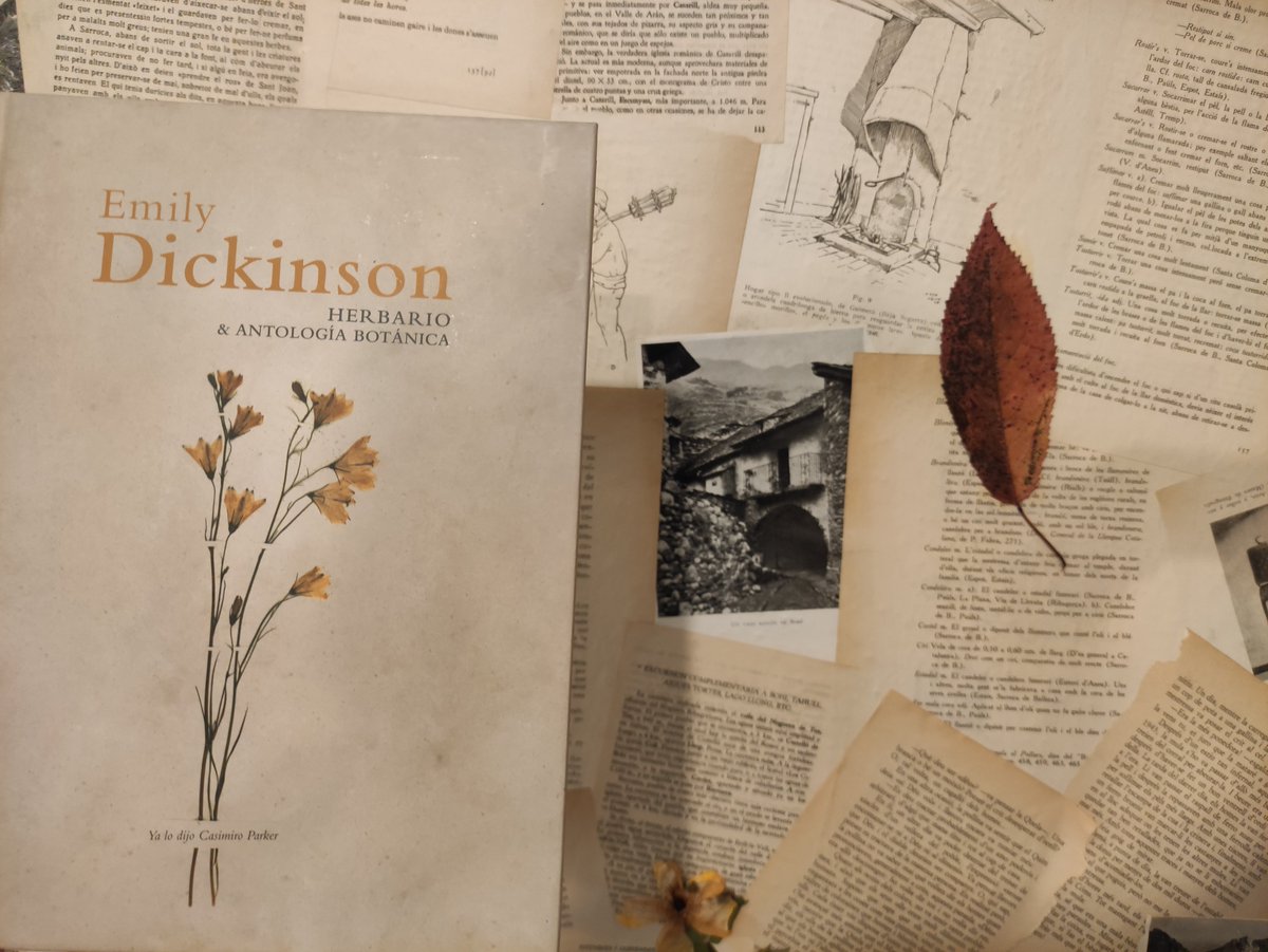 Nos encanta la recomendación de <a href="/claraobligado/">Clara Obligado Escritura Creativa</a> en el último programa de <a href="/LibrosDeArenaR5/">Libros de arena</a>: Herbario &amp; Antología botánica de #EmilyDickinson <a href="/casimiroparker/">ya lo dijo casimiro parker</a> 
🌱📗💚
#PoesíaEmboscada en #NaturaLlibres
