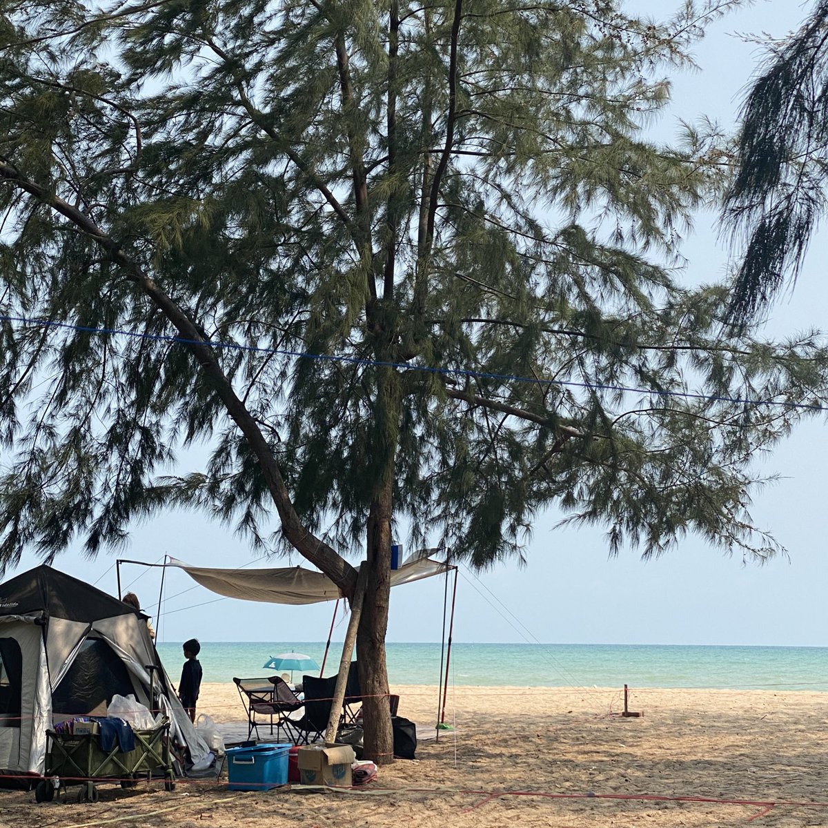 dekza55's tweet photo. Camping สายงบน้อย เวลาจำกัด ห้องน้ำดี จิบเบียริมหาเ ตอนกลางคืนมีแพลงตอนเรืองแสง 

📍 หาดEOD, ระยอง 

#ระยอง #camping #กางเต๊นท์ #ที่เที่ยวใกล้กรุงเทพ #ไปไหนดี #เที่ยวไหนดี #เที่ยวไทย #เที่ยว #เที่ยวทะเล https://t.co/ztg1X5wXEA