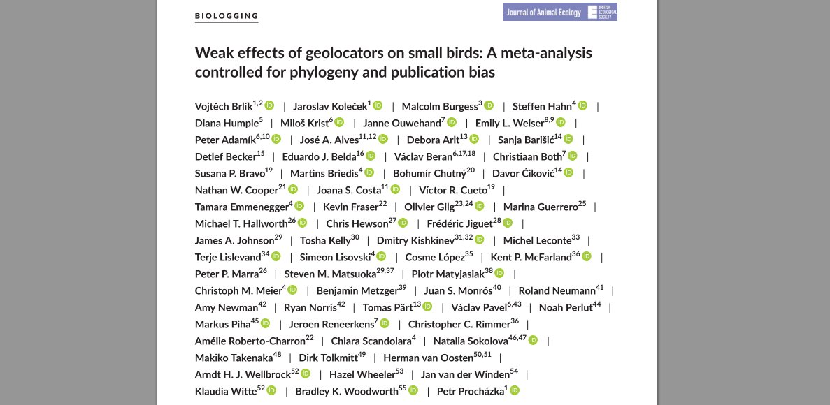 VojtechBrlik's tweet image. Our #metaanalysis on #geolocator effects published in @AnimalEcology is a #topcitedarticle.🥂 

besjournals.onlinelibrary.wiley.com/doi/10.1111/13…

#ornithology #birdmigration #tagging