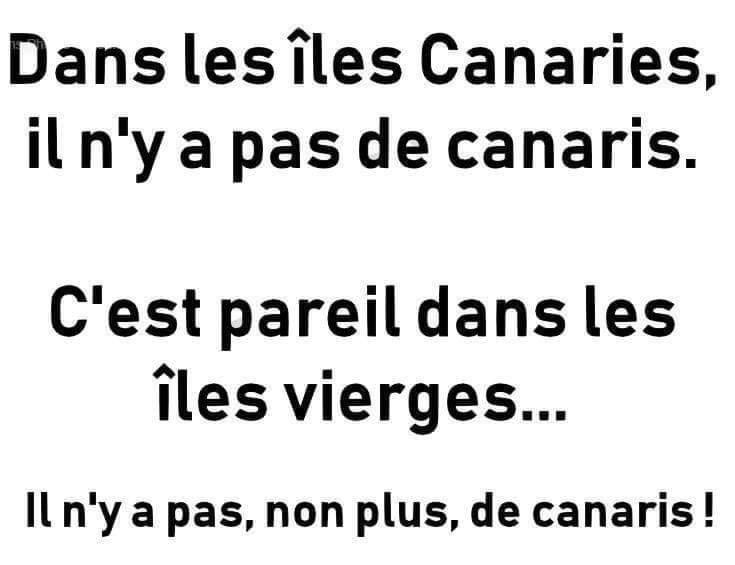 michel_denisot's tweet image. 