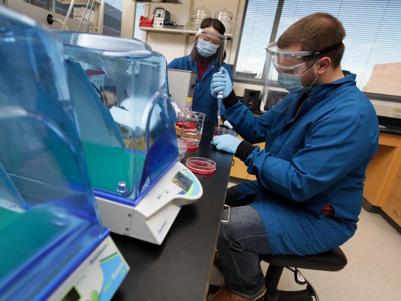 Self-Built Protein Coatings Could Improve Biomedical Devices: news.rpi.edu/content/2021/0…