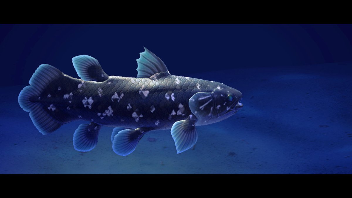 Izu Stomi あつまれどうぶつの森 では釣ってきた魚を博物館に寄贈すると 後で自由に写真が撮れるようになります アングルとかの自由度はあまりないけれど これが実に楽しい 画像はシーラカンス どうぶつの森 Animalcrossing Acnh