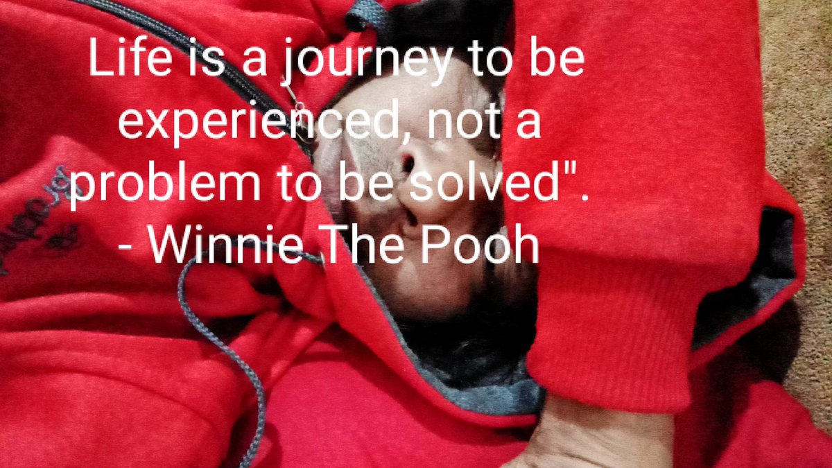 Life is a journey to be experienced, not a problem to be solved.

~ Winnie The Pooh~