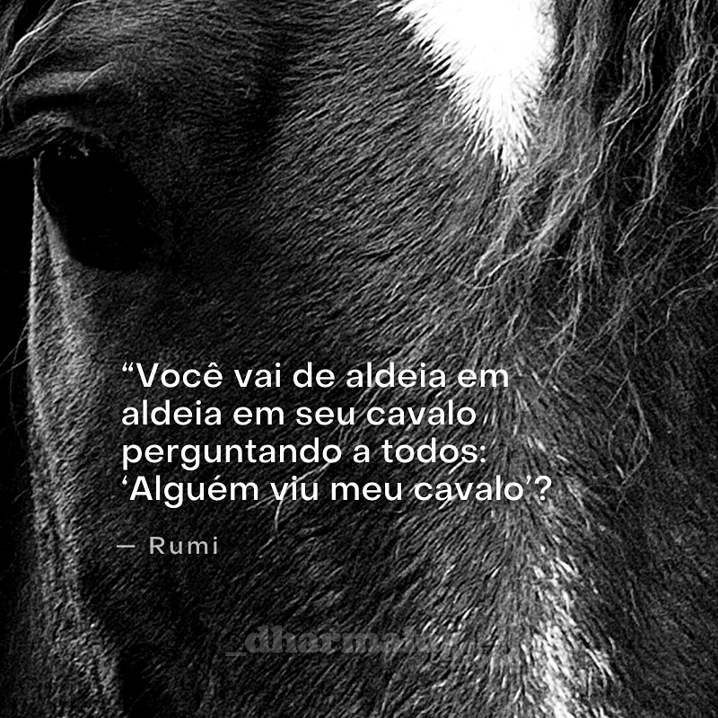 dharmalog's tweet image. 