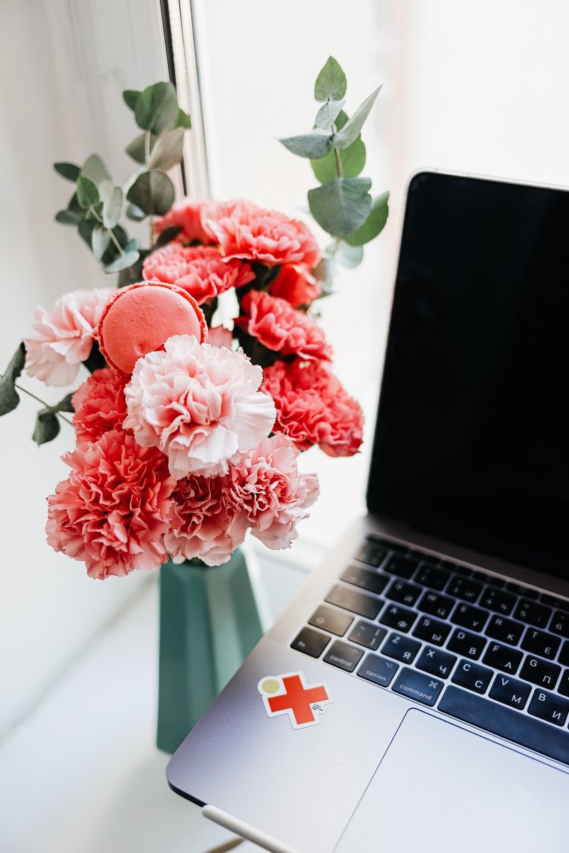 seodefend's tweet photo. Want your website to bloom like these flowers? Follow us for tips on improving your SEO practices!
.
.
.
.
#flowers #marketingagency #facebook 
#webdesigner #internetmarketing #seoservices #websitedevelopment #seoexpert #searchenginemarketing 

Photo by Assem Gniyat on Unsplash https://t.co/P0HKnJV4hL