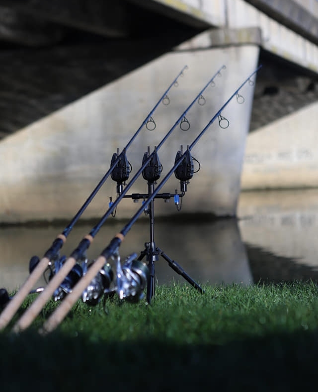 Do you ever fish for carp on our rivers?

Will you be getting out on our flowing waters come June 16th?

FT: Snag Ears
Minimal CV 12 inch 
20/20 3-rod Adjustable Swan Necks
Clinga Dumpy Kit Blue
Clinga Loaders

#CygnetTackle #CygnetIndication #ShowUsYourSwans