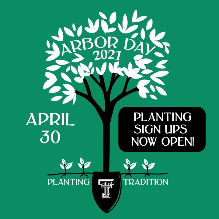 ttusub's tweet image. Sign up for our annual #TTUArborDay!🌳
 In accordance with TTU Commitment & safety guidelines, limited spaces are available. 
Sign up now: Tech connect or sub.ttu.edu. 
Masks required & social distancing enforced. More details on our website: depts.ttu.edu/sub/Activities…
