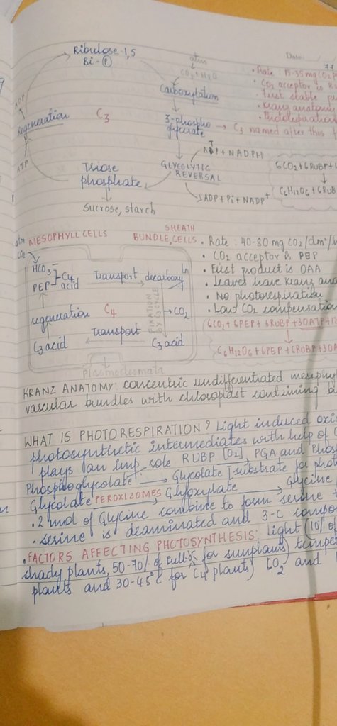 Shraman Kumar Bohra (@shramankumar) on Twitter photo Taking hours together to make satisfying notes is a therapy. Isn't it? #gradschool <a href="/AcademicChatter/">Academic Chatter™</a> #biology Taking hours together to make satisfying notes is a therapy. Isn't it? #gradschool <a href="/AcademicChatter/">Academic Chatter™</a> #biology