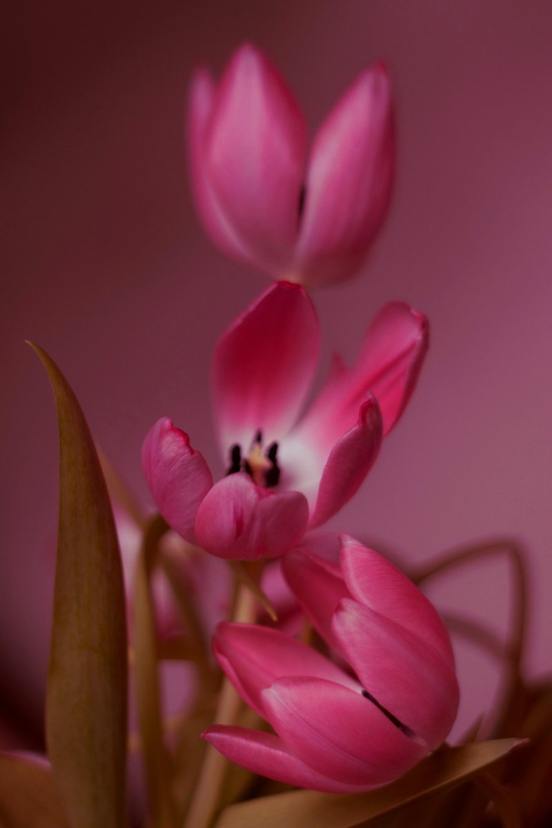 Justa1985 (@lipalipinska) on Twitter photo 