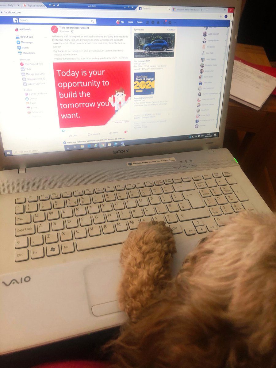 Abi Howell tweet media