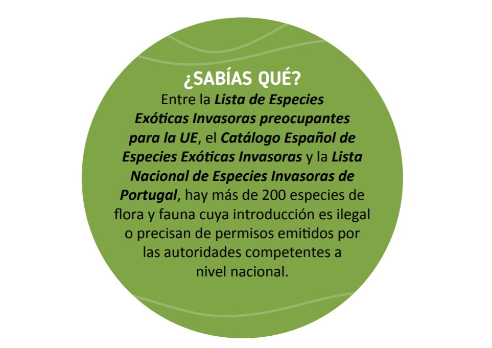 LifeInvasaqua on Twitter: LifeInvasaqua on Twitter: