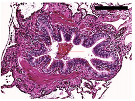 jordi vilaró tweet media